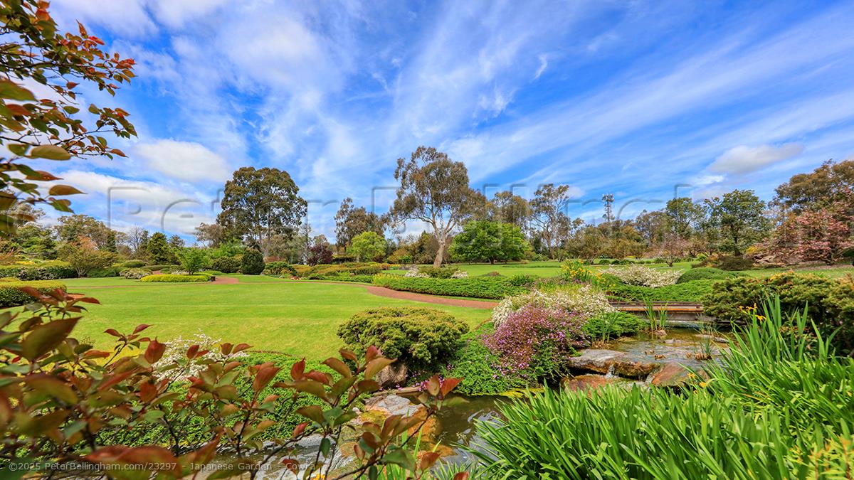 Peter Bellingham Photography Japanese Garden - Cowra